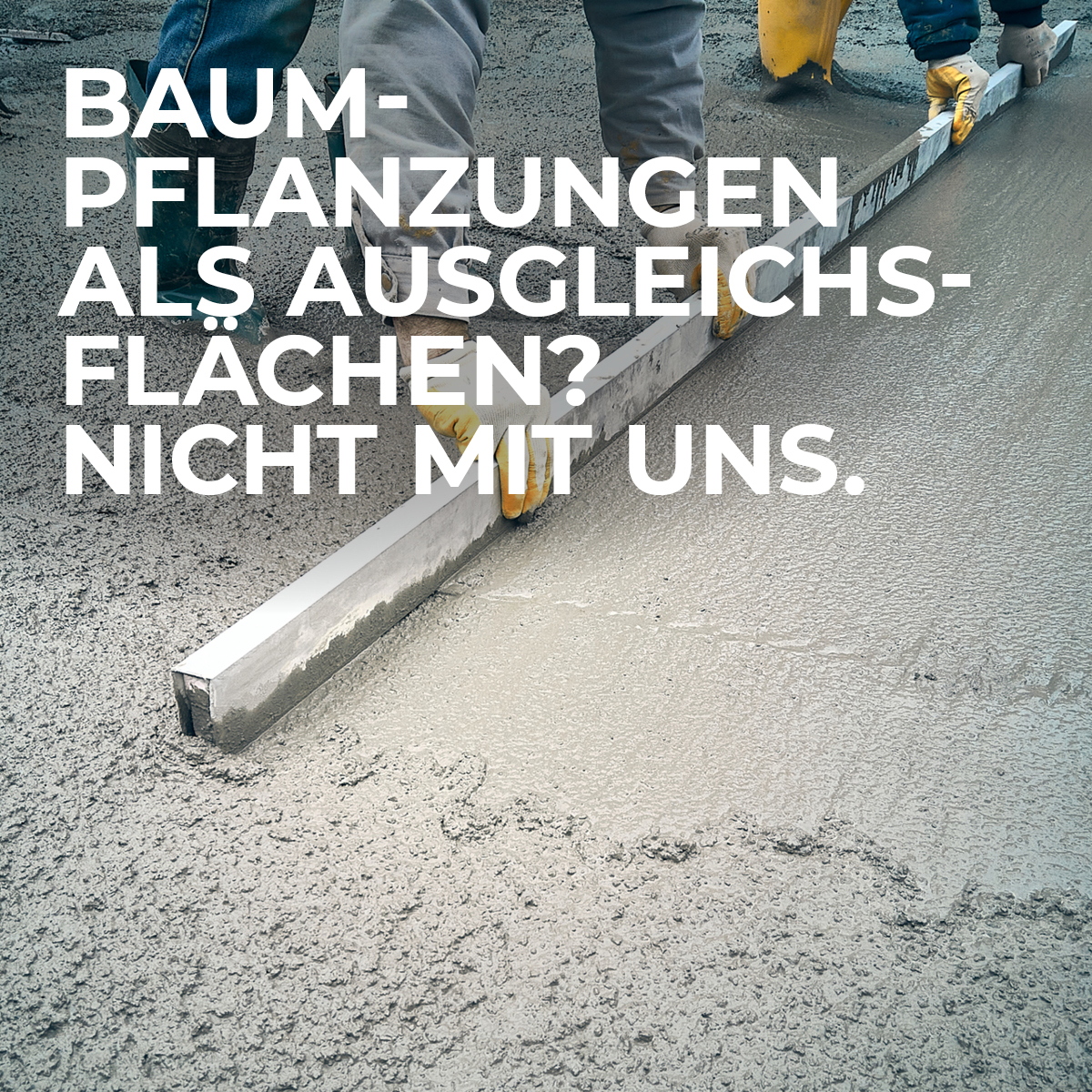 Blog_TEASERBILDER_026 Baumpflanzungen als Ausgleichsflächen? Nicht mit uns.
