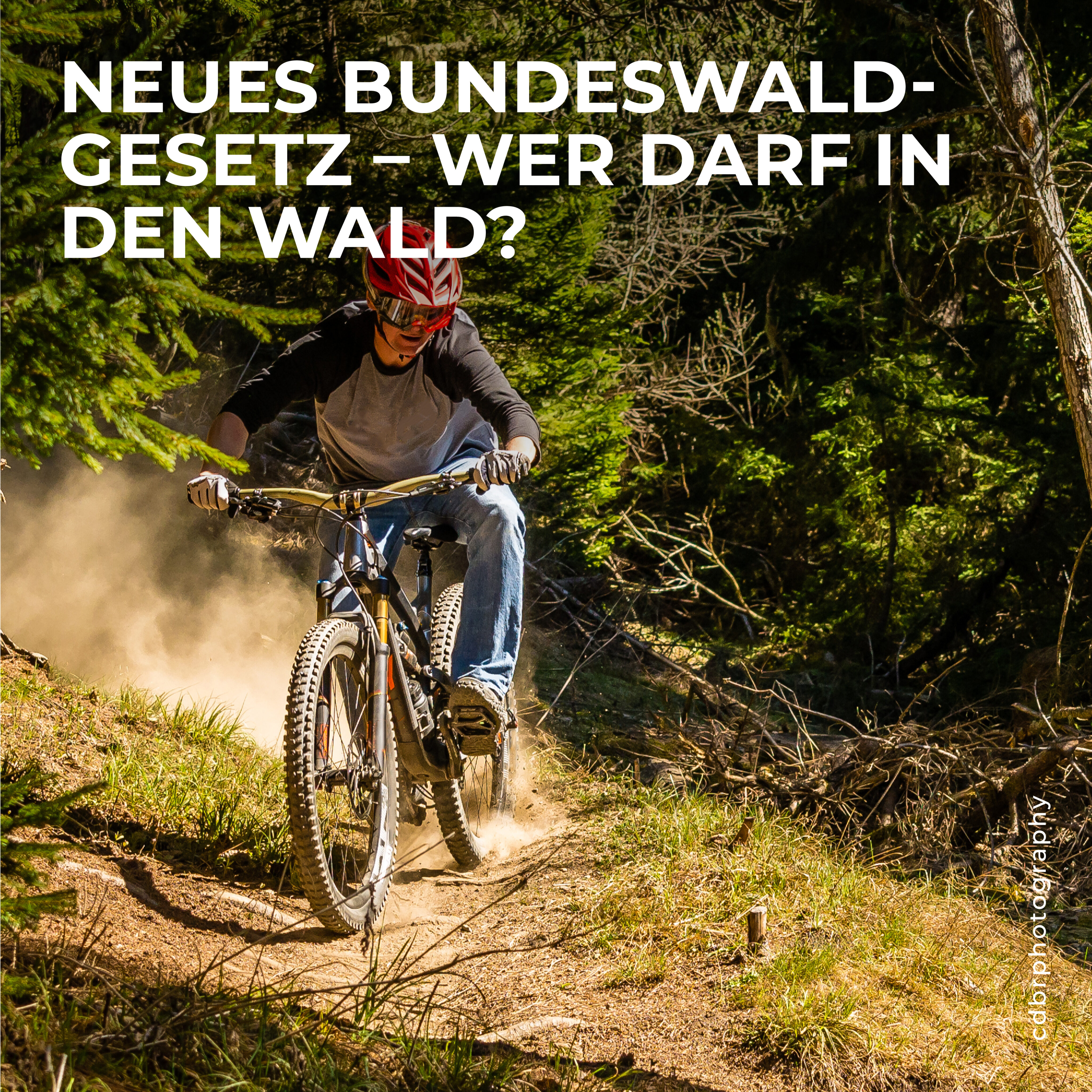 Blog_TEASERBILDER_mtb Neues Bundeswaldgesetz – Wer darf in den Wald?